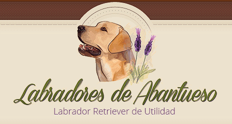 Labradores de Abantueso