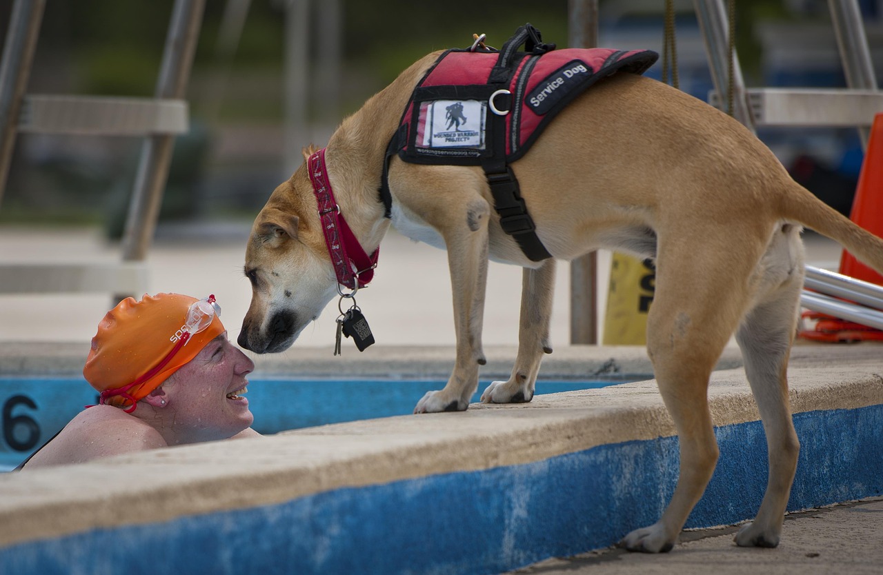 Perro de servicio junto a su usuaria